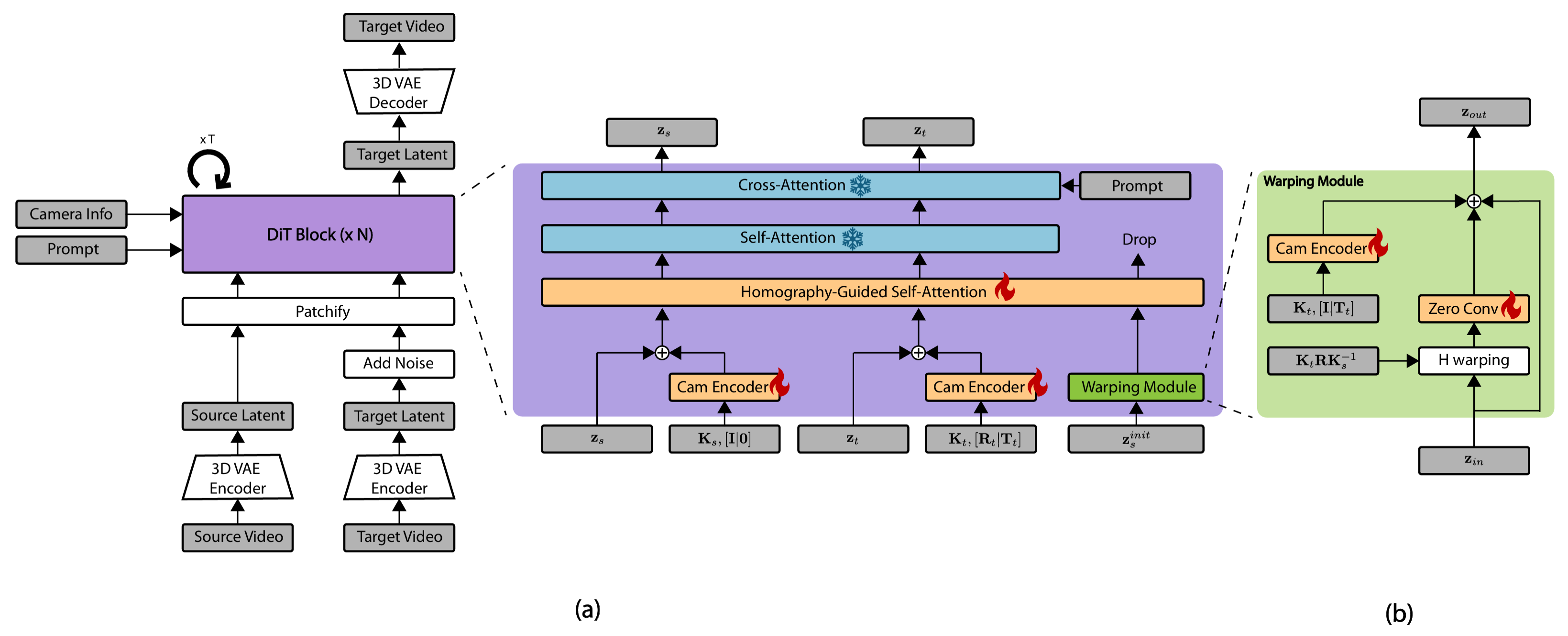 Infinite Homography vs. Reprojection-based Conditioning